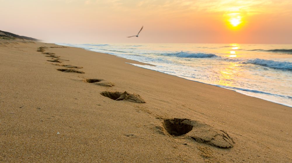 Footstpes On 90 Mile Beach 7